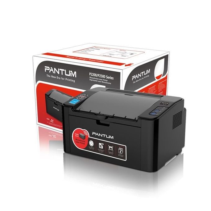 Imprimante Laser Monochrome PANTUM (P2500)